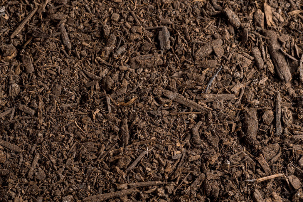 Gardening Planting Soils: Seed Topper Premium Compost