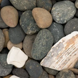 Mexican Beach Button rocks