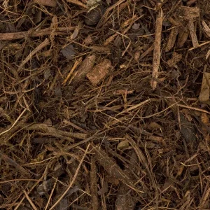Forest Mulch