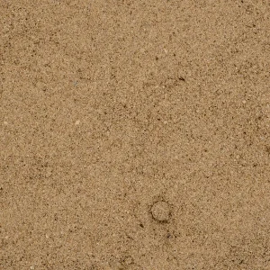 Sandy Loam