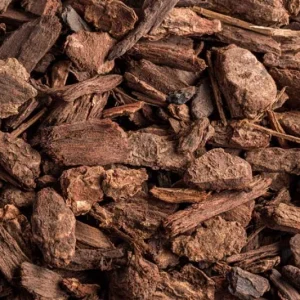 Small bark